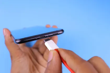 Casino Dogs Fortune Mobilapp